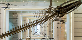 Hörmann Italia rinnova partnership con il MUSE di Trento