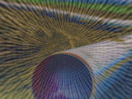 CNA: oltre 27mila micro, piccole e medie imprese nella bolla del gas