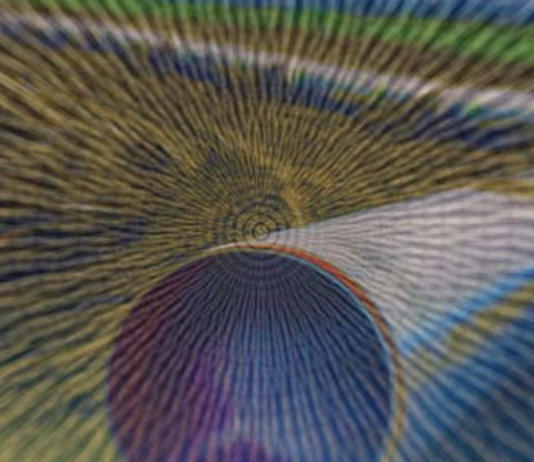 CNA: oltre 27mila micro, piccole e medie imprese nella bolla del gas