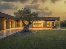 Struttura in legno per la casa piena di luce