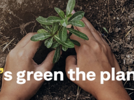 10mila alberi. GEZE festeggia il Natale all’insegna dell’ambiente