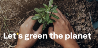 10mila alberi. GEZE festeggia il Natale all’insegna dell’ambiente