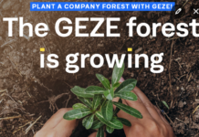 Un albero per ogni nuovo contatto: l’impegno per l’ambiente