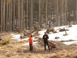 Da Würth Italia sostegno concreto alla crescita della foresta