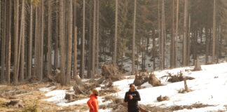 Da Würth Italia sostegno concreto alla crescita della foresta