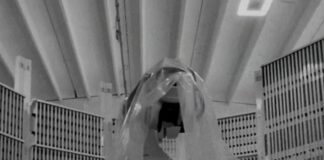 Zero 5 prosegue investimenti a sostegno della programmata espansione di mercato