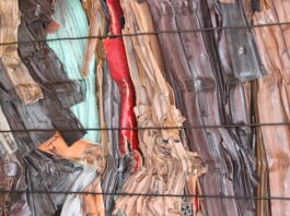 Protocollo per il riciclo, intesa ANCE Reggio Emilia e PVC Forum