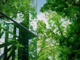 AGC estende la produzione Low-Carbon Glass