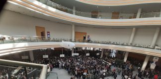 Fensterbau Frontale torna al successo. Mutazione in corso