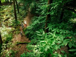 Every Window Matters, la nuova campagna Deceuninck