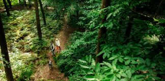 Every Window Matters, la nuova campagna Deceuninck