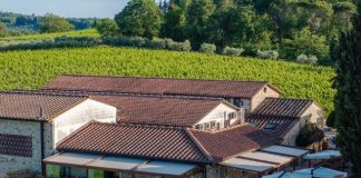 Casa Emma e le terrazze sulle vigne