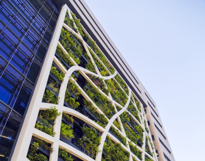 Detail from a living wall