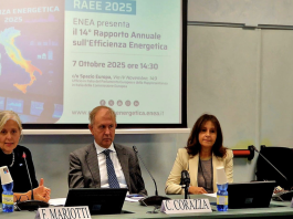 Nuovo RAEE: soprattutto grazie agli incentivi risparmiati 4,5 Mtep di energia