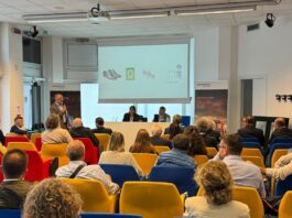 Efficientamento dell’involucro di edifici storici. Sostenibilità, innovazione e tutela centro del dibattito
