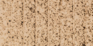 Salone 2026: il progetto The Door per reinterpretare il concetto di porta