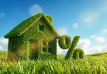 Formazione su digitale e green: contributi a fondo perduto per le PMI AdobeStock_1931649855