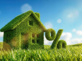 Digitale e green: contributi a fondo perduto per le PMI AdobeStock_1931649855