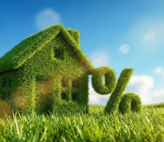 Digitale e green: contributi a fondo perduto per le PMI AdobeStock_1931649855