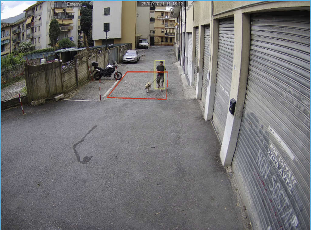 allarmi animali domestici