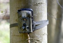 Fototrappole per la sicurezza notturna