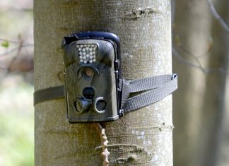 Fototrappole per la sicurezza notturna