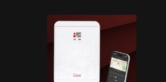 La sicurezza in movimento: GeoPESS