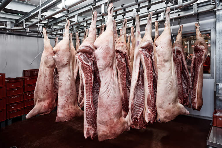 prezzo del suino pesante