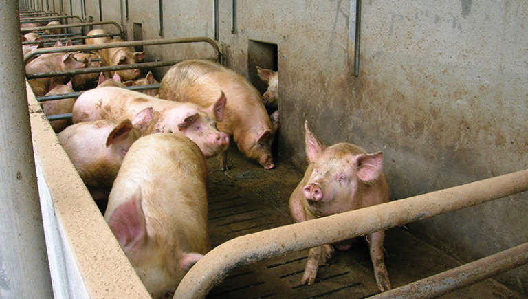 emissioni inquinanti in atmosfera