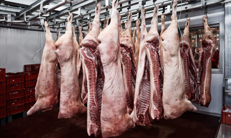 prezzo del suino a maggio 2019