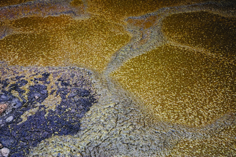 suinicoltura sostenibile