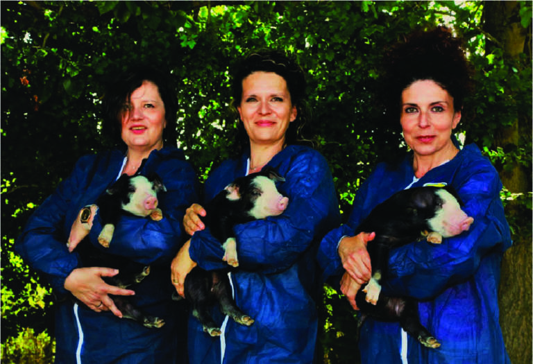 razza nero di Lomellina