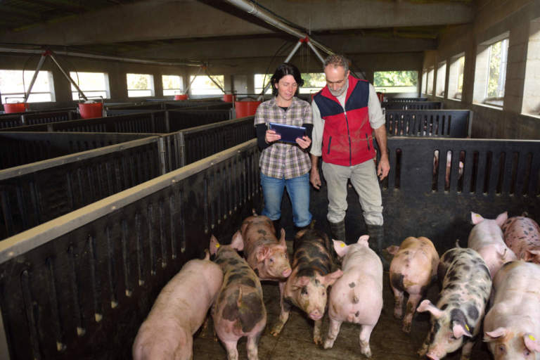 trasformazione digitale