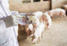 uso antibiotici Lombardia