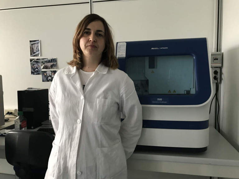 gestazione delle scrofe