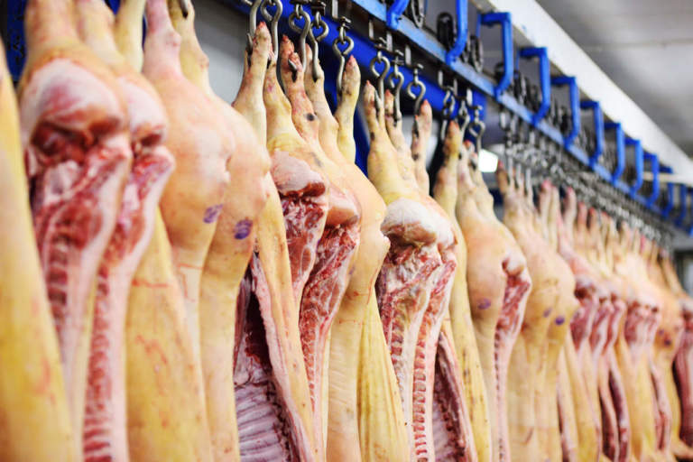 prezzo suino pesante