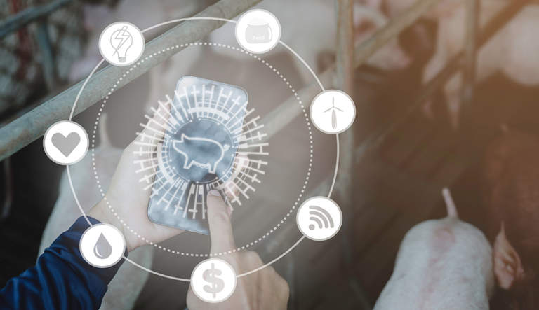 zootecnia di precisione