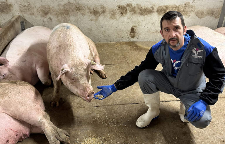 Cavagnini allevatore anno