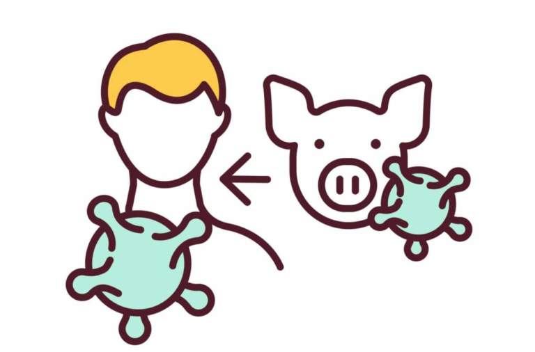 rischio del particolato in allevamento