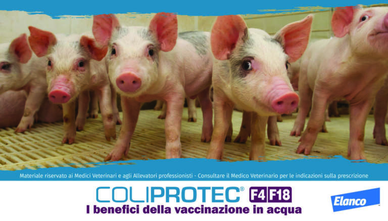 vaccinazione in acqua