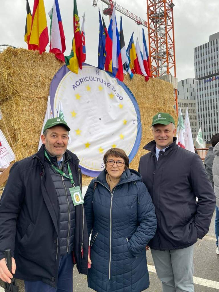 autorizzazione integrata ambientale allevamenti suinicoli