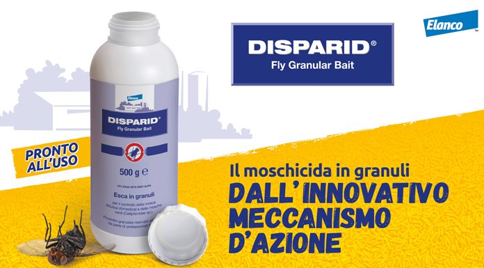 moschida granulare