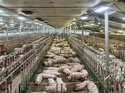 Ventilazione impianti, sfide tecniche e future ventilazione