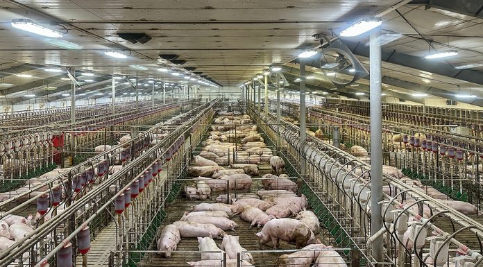 Ventilazione impianti, sfide tecniche e futuro ventilazione