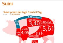 Fiera Marca: segnali di fiducia per la filiera suinicola Fiera Marca