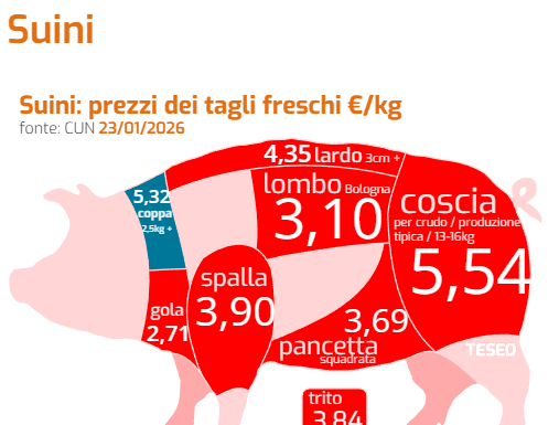 Il Brasile rafforza il suo ruolo nel mercato globale delle carni suine mercato globale