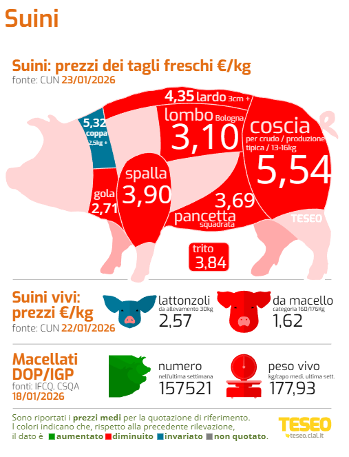 Foto: Teseo Clal mercato globale