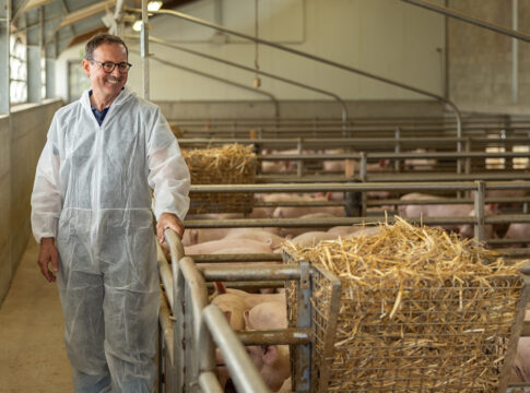 Piggly. La suinicoltura come sistema, la visione di Visini piggly visini