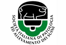 Bando per il Premio Casimiro Tarocco per giovani laureati premio