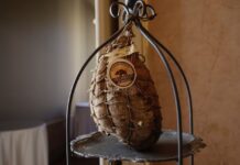 Culatello di Zibello dop, crescita record culatello zibello dop